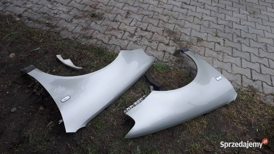 Blotnik audi a3 8l prawy lewy ly1x lift Rok produkcji 2002 Garwolin sprzedam