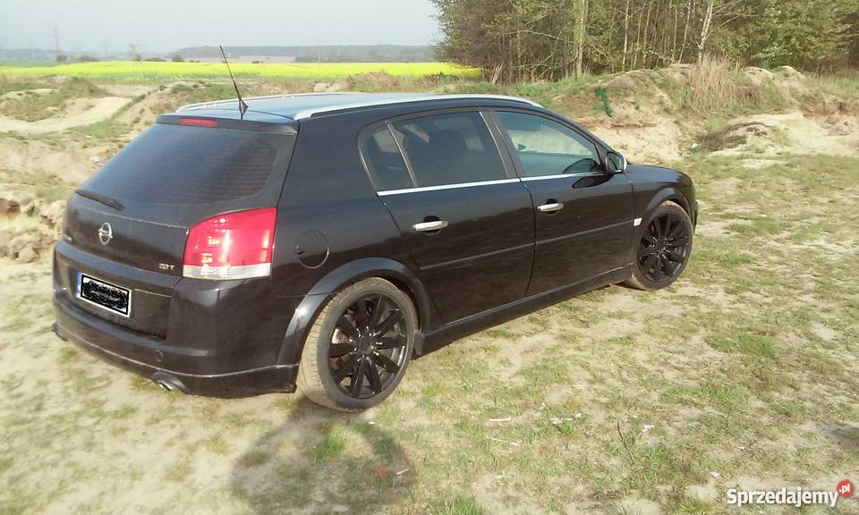 Opel Signum GAZ LPG 20T 175 KONI benzyna+LPG Ścinawa