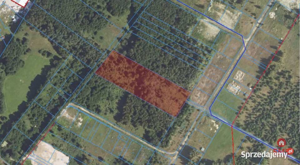Grunt 10400m2 Zalesiany