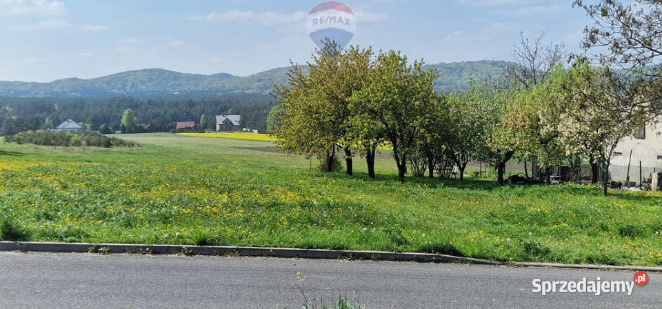 Piękna działka na Jurze KrakowskoCzęstochowskiej