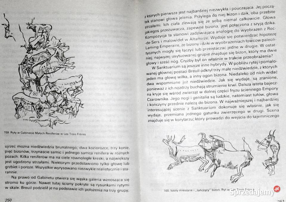 Wenus epoki lodowej Rudolf Drssler Chełm