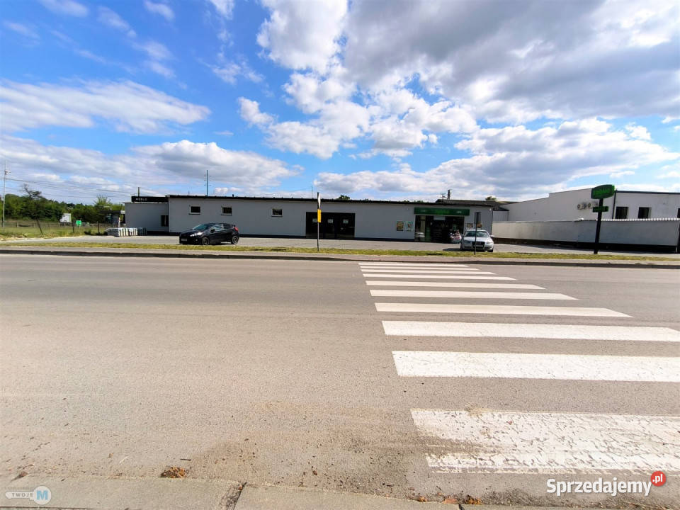 Lokal 800m2 Sędziszów