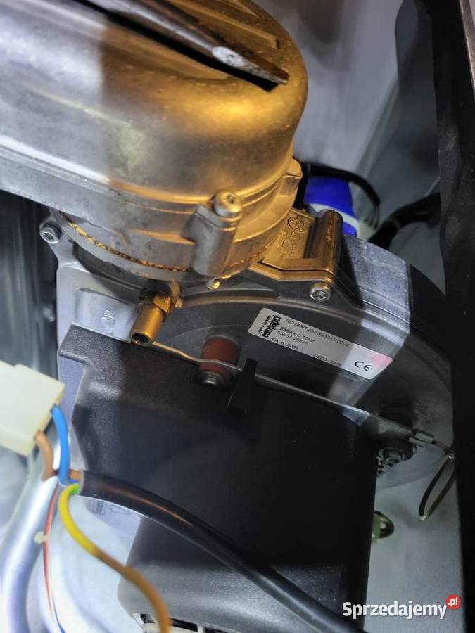 Ariston Genus Premium EVO HP 65 EU Katowice