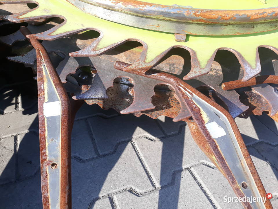 Claas jaguar 850 870 840 brutto Żychlin sprzedam