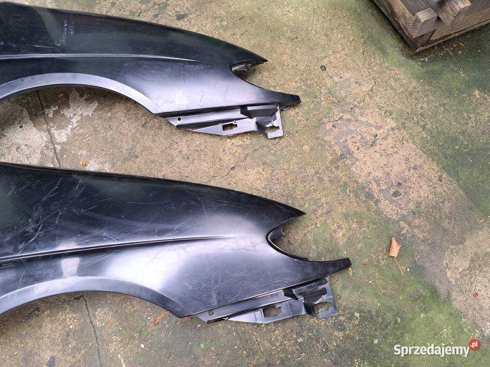 Renaul 9699r błotnik prawy przedni 7700844960 Leszno