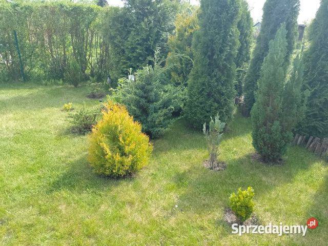 OKAZJA działka ROD Warszawa