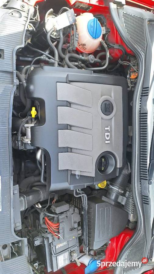 Seat Ibiza Raczyn sprzedam