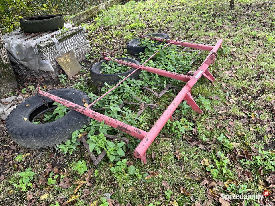 Brony 3ki podkarpackie Jarosław