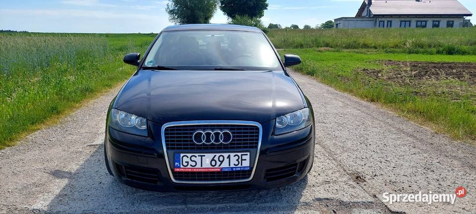 Audi a3 19 tdi 2008 Skóry 5Drzwi nieuszkodzony Linowiec sprzedam