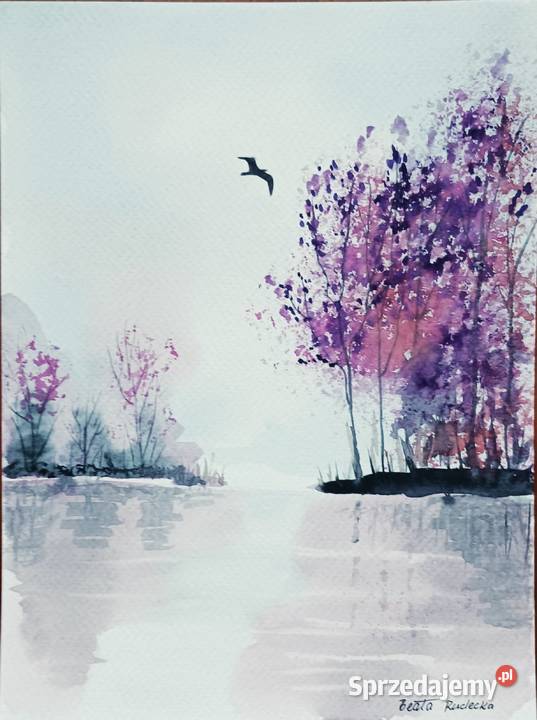 Akwarela Akwarelka Obraz pt Wodą 18 x 24 Antyki, Sztuka, Kolekcje łódzkie Łódź
