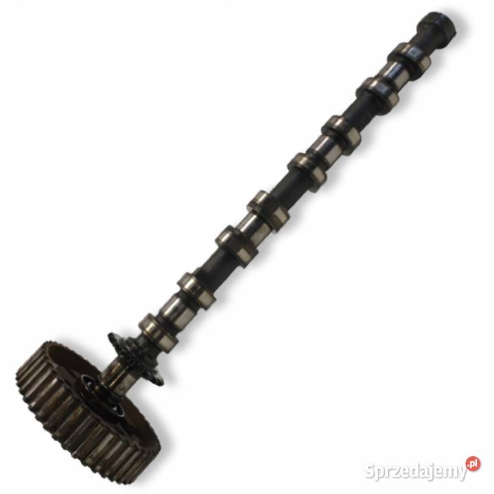 WAŁEK ROZRZĄDU Lancia Phedra 22 JTD wydechowy Rozrząd Motoryzacja Chełm