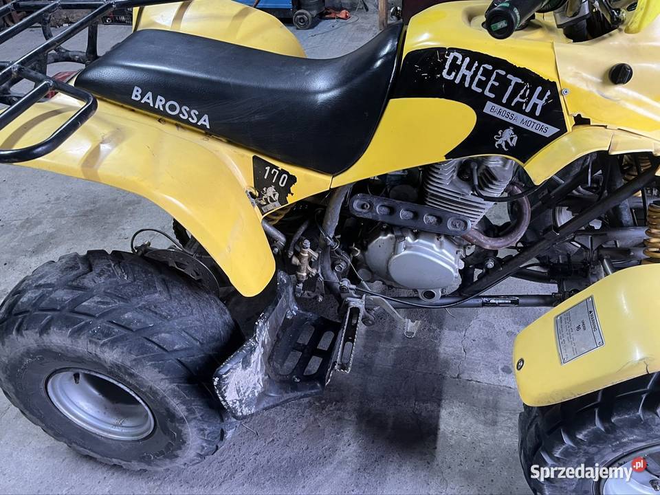 Sprzedam quada smc barossa 170 quad - ATV Szczekociny