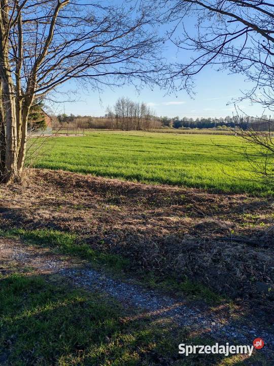 Działka 17 ar Leżajsk Wierzawice sprzedam
