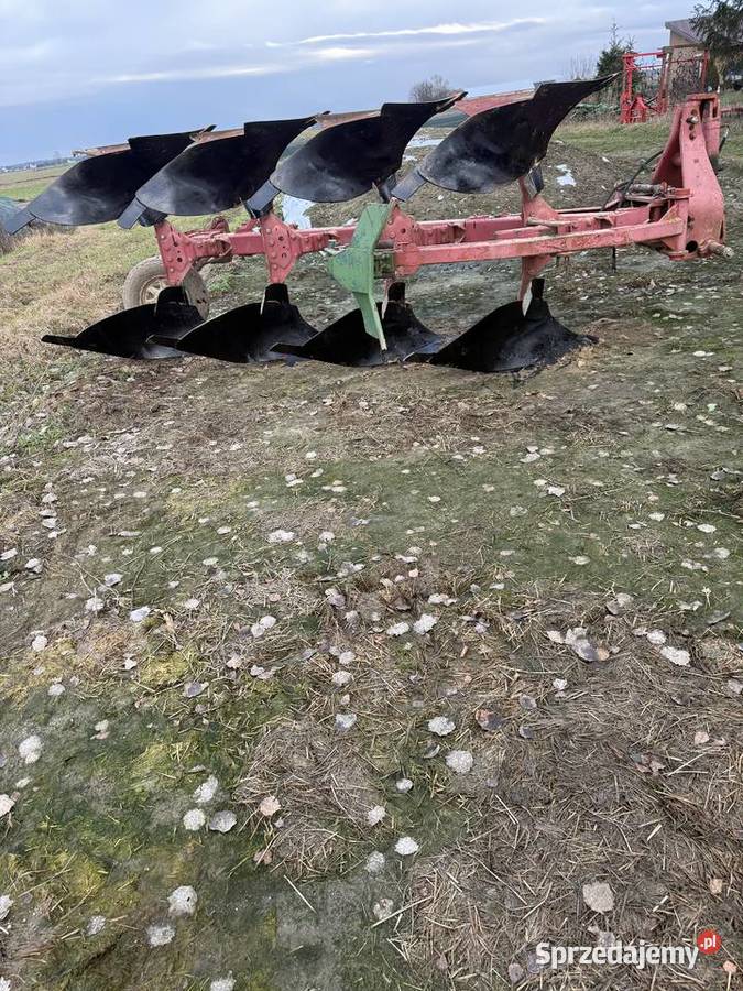 Pług Kvernelnad Zambrów