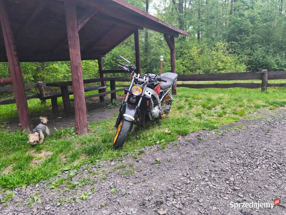 Honda CBR 600 OC i PT Motocykle, skutery, quady opolskie Grodków