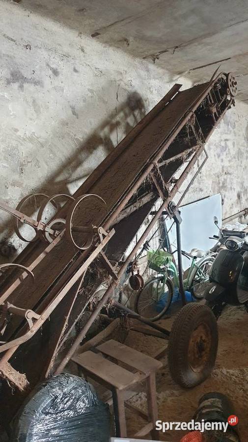 Wyciąg taśma winda podajnik tasmociąg obornik Taśmociągi i podajniki Janów Lubelski