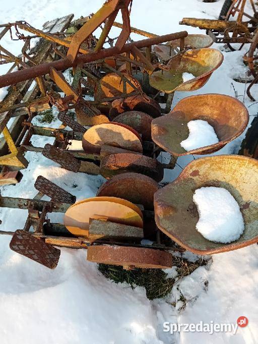 Sadzarka do warzyw Maszyny rolnicze Wólka Twarogowa sprzedam