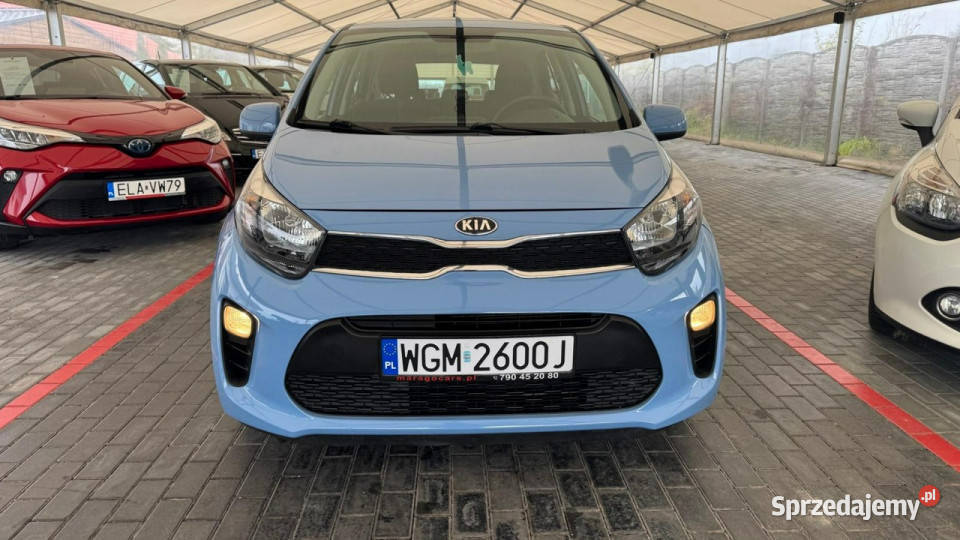 Kia Picanto Kia Picanto Automat III 2017 łódzkie Zduńska Wola