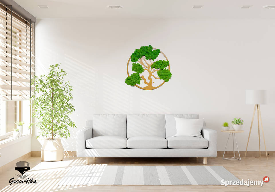 Drzewo Życia Szczęścia Bonsai Mech Chrobotek 30 sprzedam