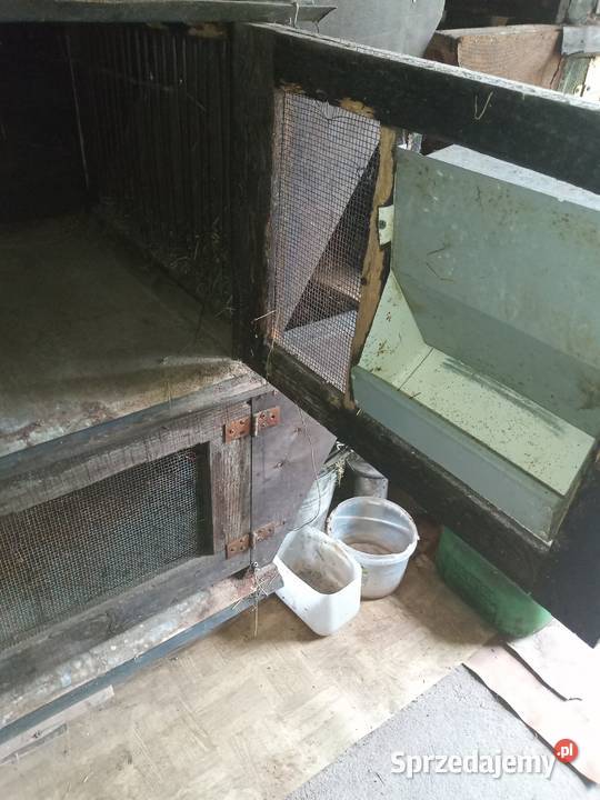 Klatka króliki segmentowa hodowla Moszczenica