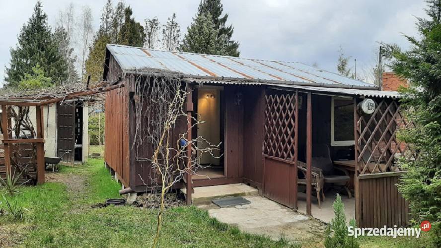 Działka ROD w Wolicy Wolica