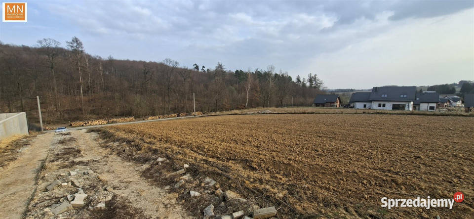 Grunt na sprzedaż Łuczyce Pod Lasem 698m2