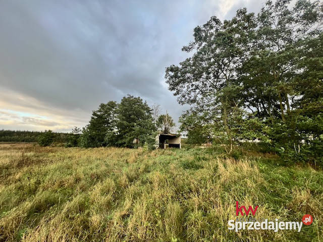 Działka 8869m2 Stara Huta