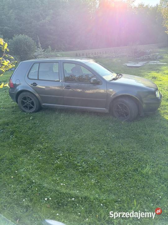 Vw golf 4 Sdi Golf Głęboka