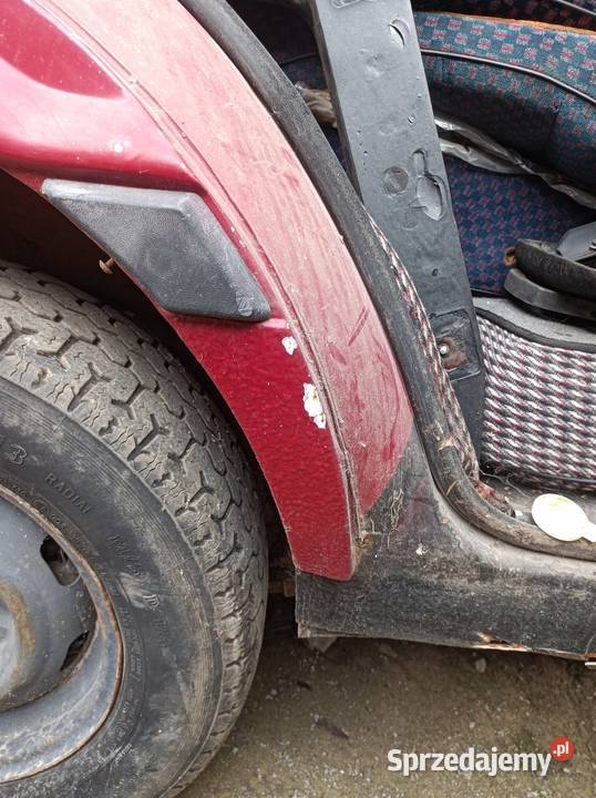 Polonez tylny blotnik caro akwarium fso Pionki