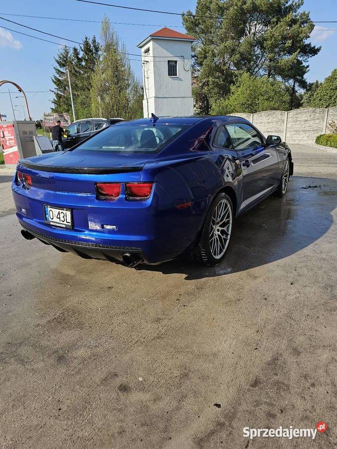 Camaro Brzeg