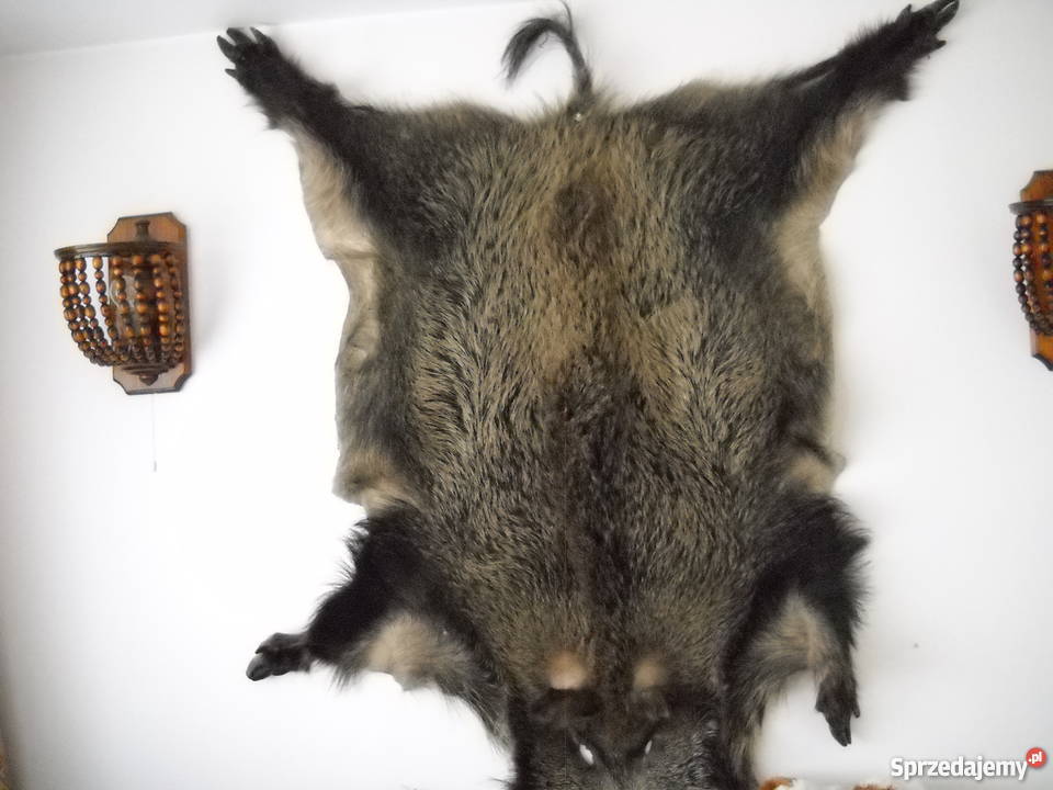 Skóra z dzika Piaseczno sprzedam