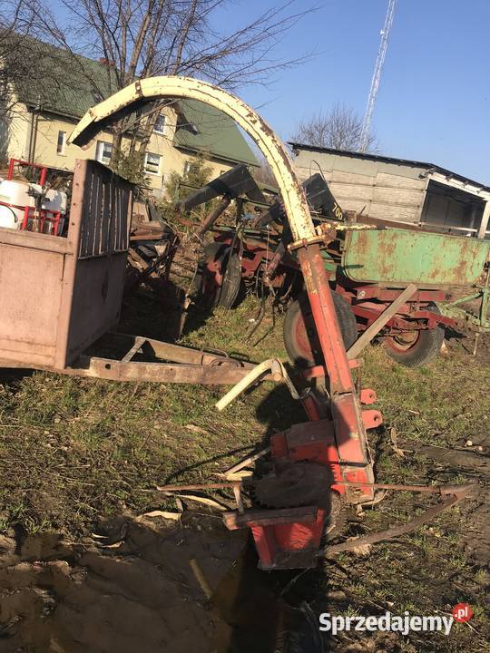 Sieczkarnia jednorzędowa krone Rypin