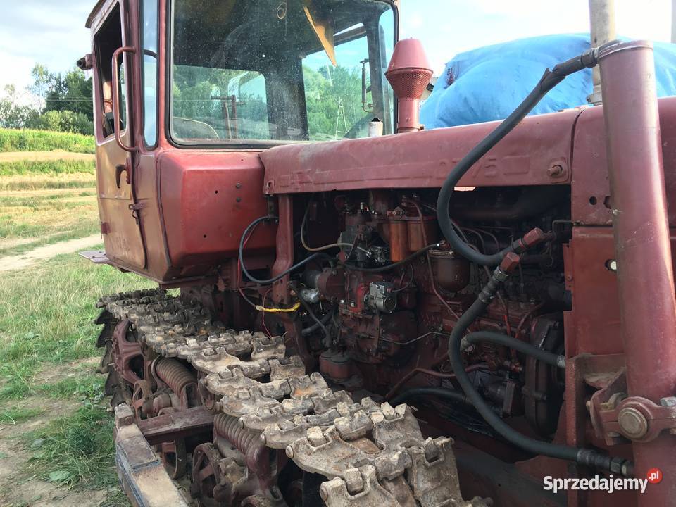 dt 75 det dt spycharka spychacz spych dt75 dt100 Rok produkcji 1989