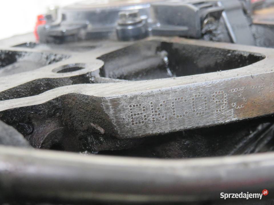 SILNIK VW GOLF V 19 TDI 105 BKC 038130073AG