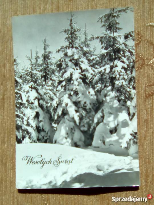 DRZEWA ZASYPANE ŚNIEGIEM FOT WENDOŁOWSKI Piszczac