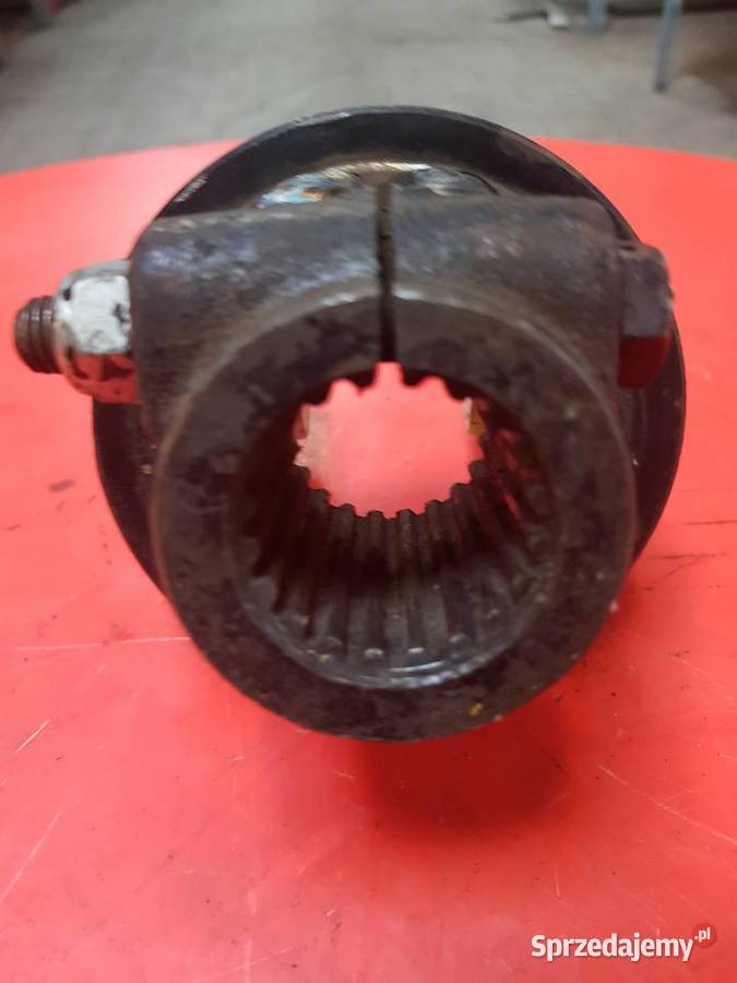 Widłak zewnętrzny 54131