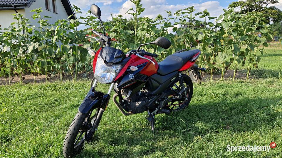 Yamaha YS 125 2020 kat B A1 niski przebieg łódzkie Ostrówek