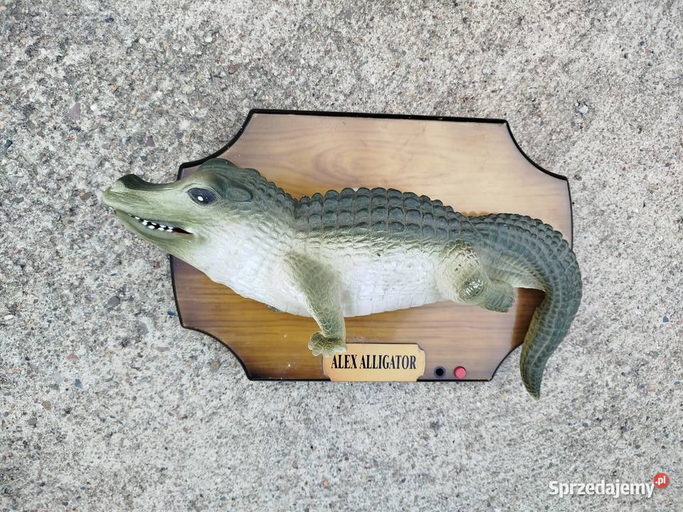 Interaktywny aligator Alex Alligator figurka Opole