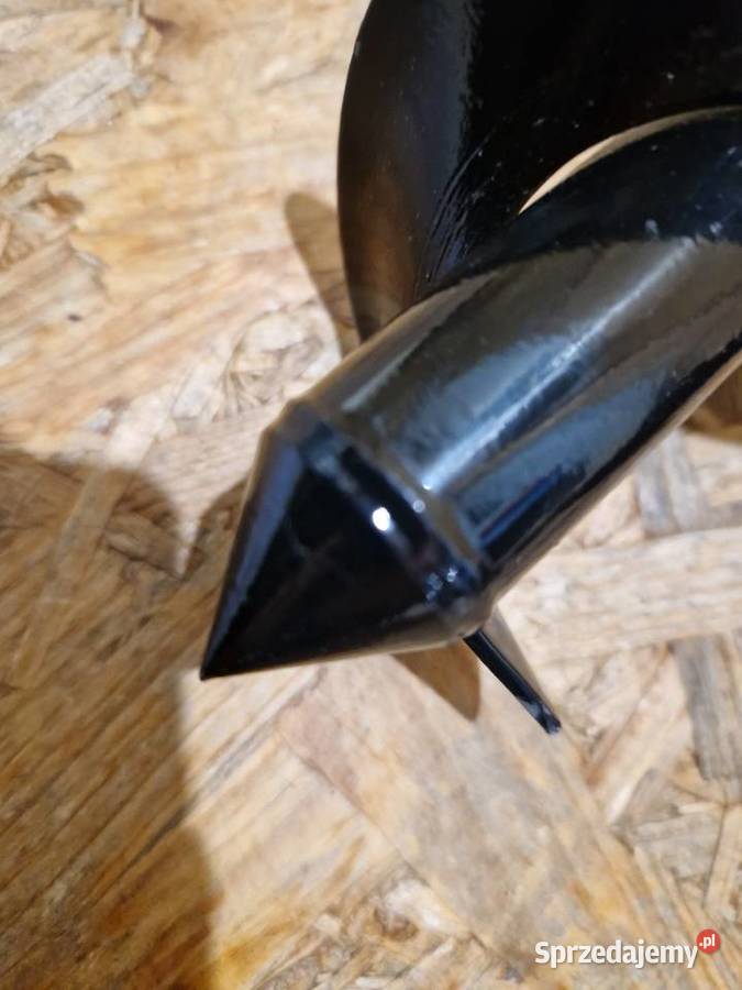 ŚWIDER OGRODOWY WIERTNICA GLEBOWA WIERTŁO ZIEMI Głogowa