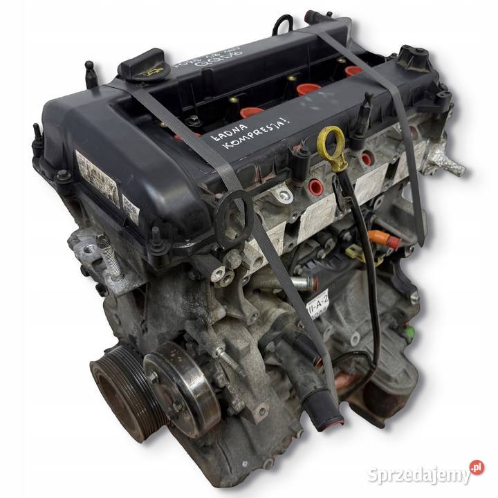 SILNIK QQDB Ford Focus II MK2 C C 18 16V 125 Chełm