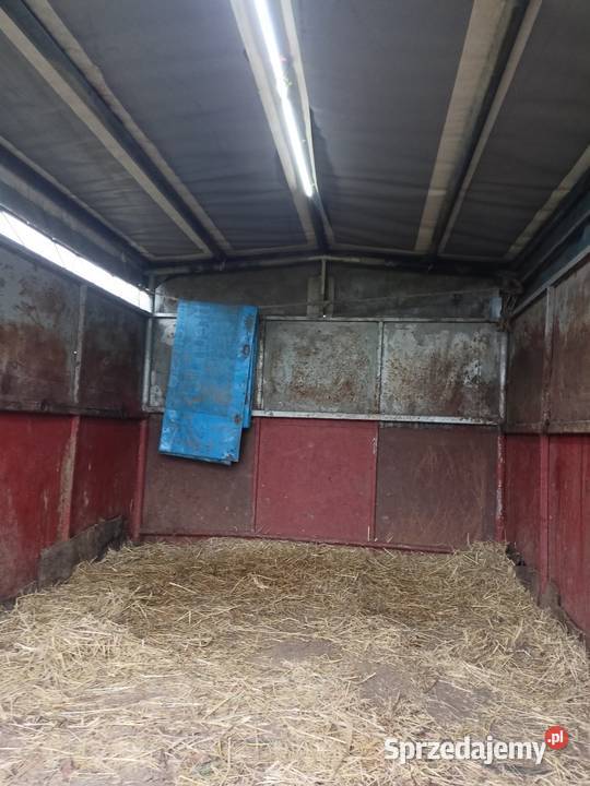 Sprzedam Mercedesa kaczke lubelskie Chełm