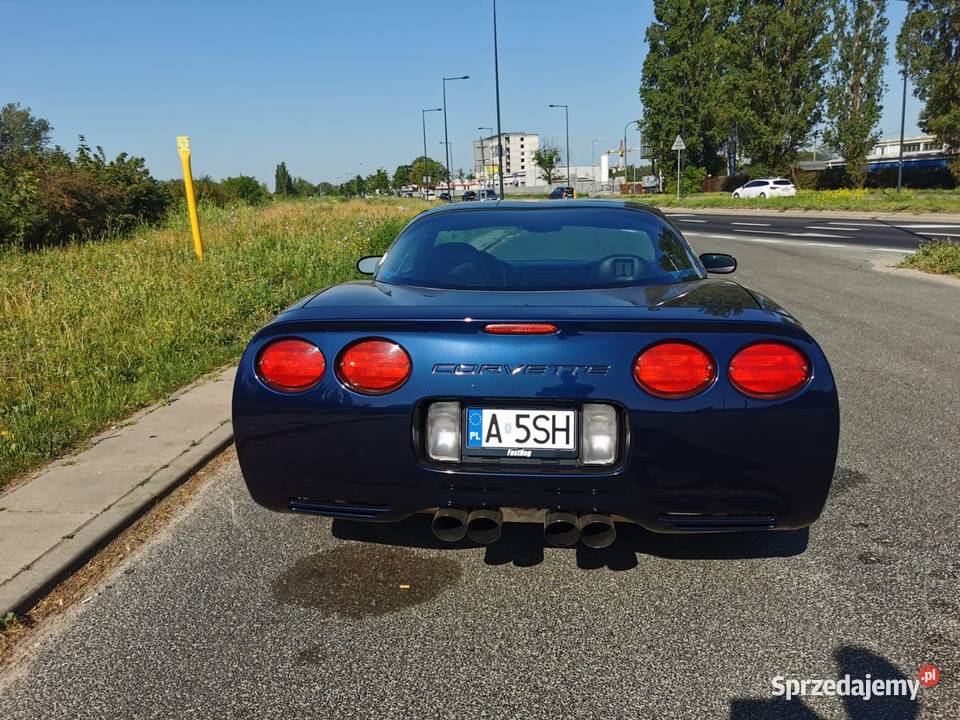 Corvette C5 1999 nieuszkodzony