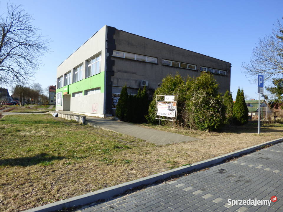 Lokal usługowy Syndyka Dobrzany Staszica