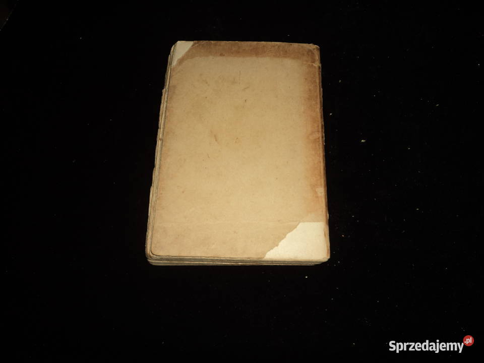 Palę Paryż Brunon Jasieński 1929r wydaniee Nowy Sącz sprzedam