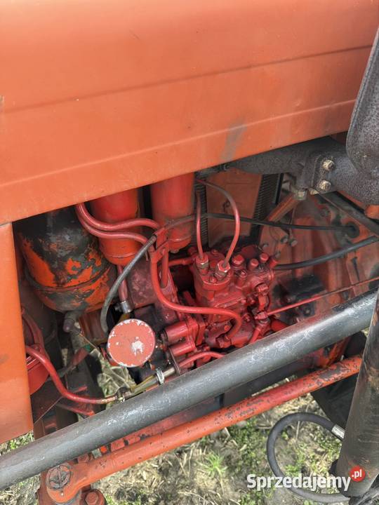 Wladimirec T25 A tur gotowy do pracy Władimirec Pilaszków