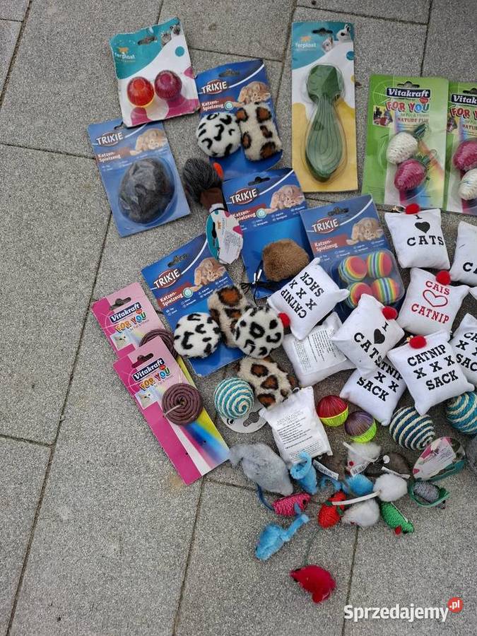 Zabawki kota psa królika mazowieckie Kajetany