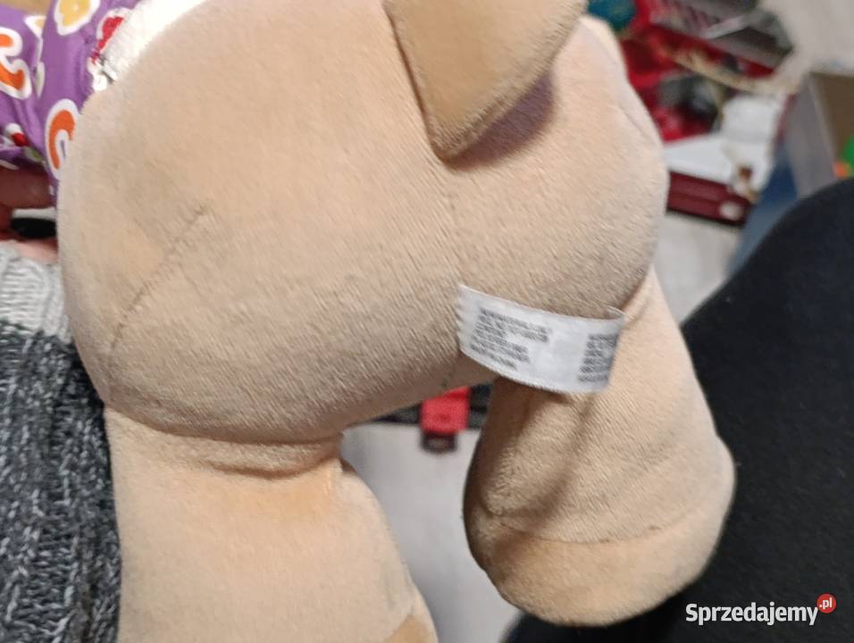 interaktywna pluszowa zabawka edukacyjna Fisher Poznań