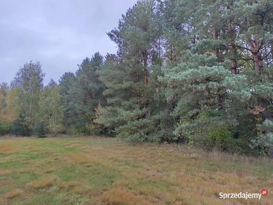 Działka budowlana pod osiedle 29400m2 Piaski gm Sprzedaż