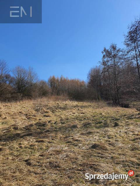 Działka 5000m2 Jazowa podkarpackie sprzedam
