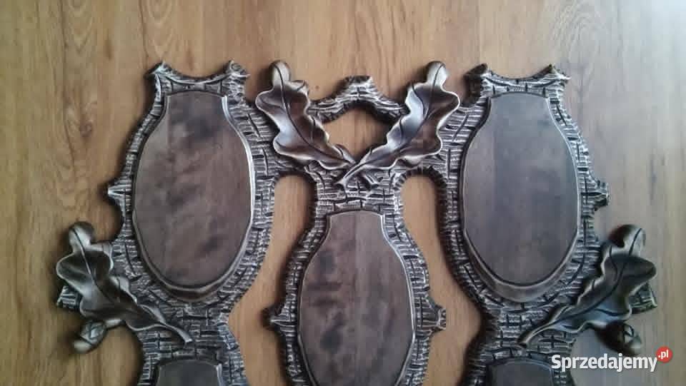 Oprawa trofeów łowieckich Odolanów